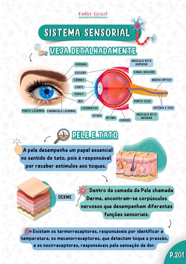Página Sistema Sensorial