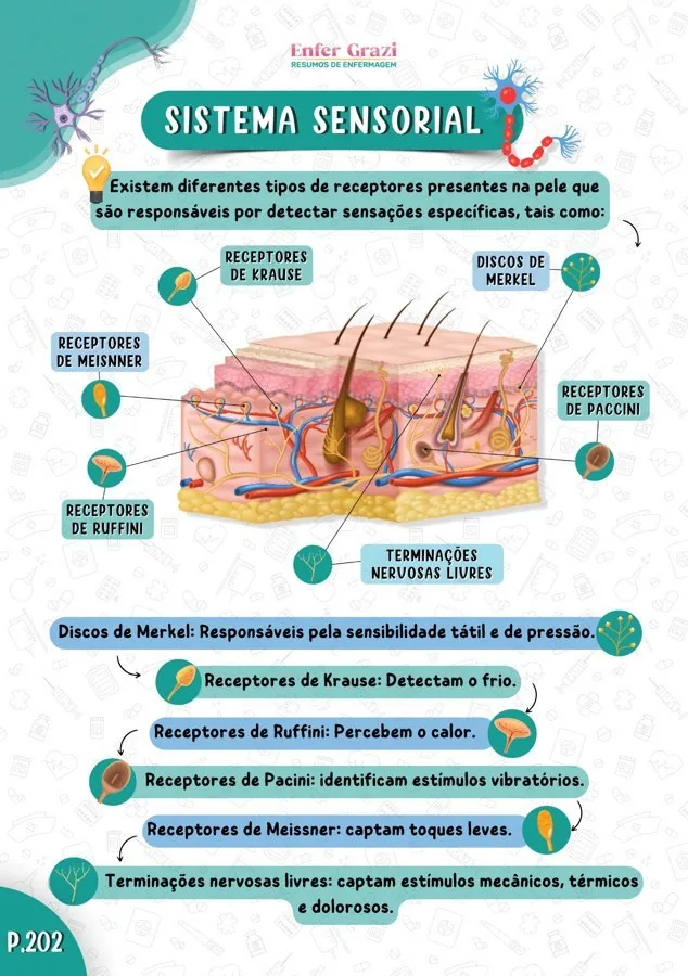 Página Sistema Sensorial