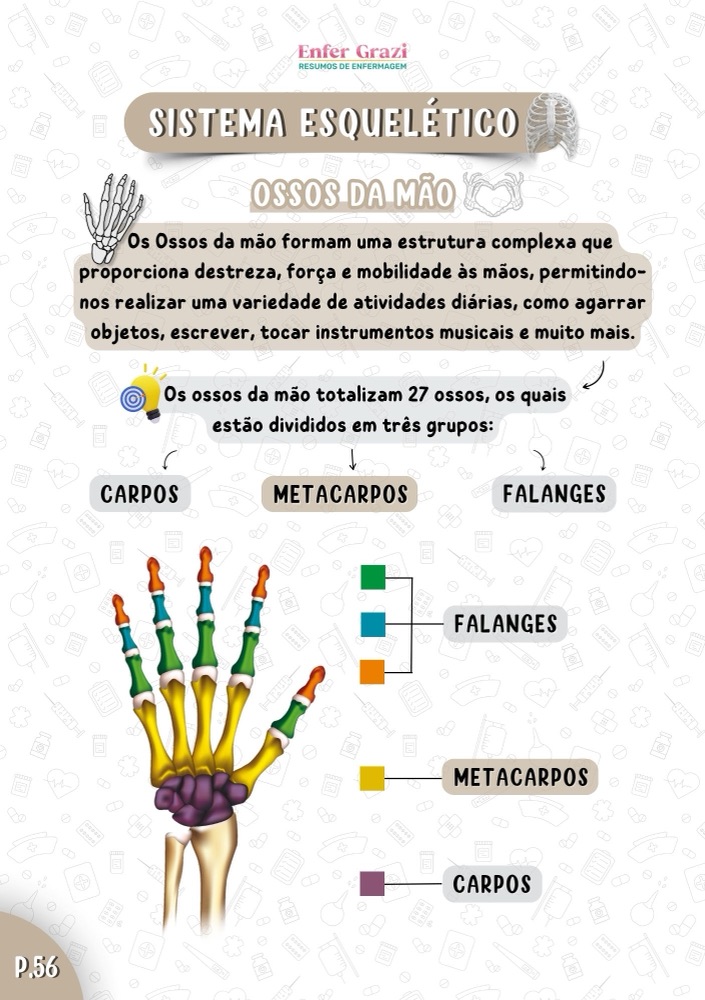 Sistema Esquelético · Ossos da mão