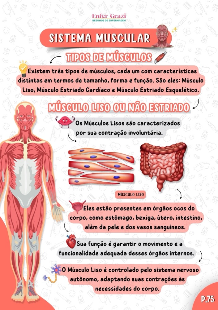 Sistema Muscular · Tipos de músculos