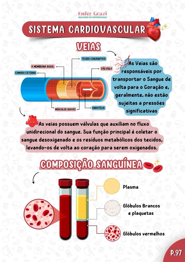 Sistema Cardiovascular · Veias e sangue