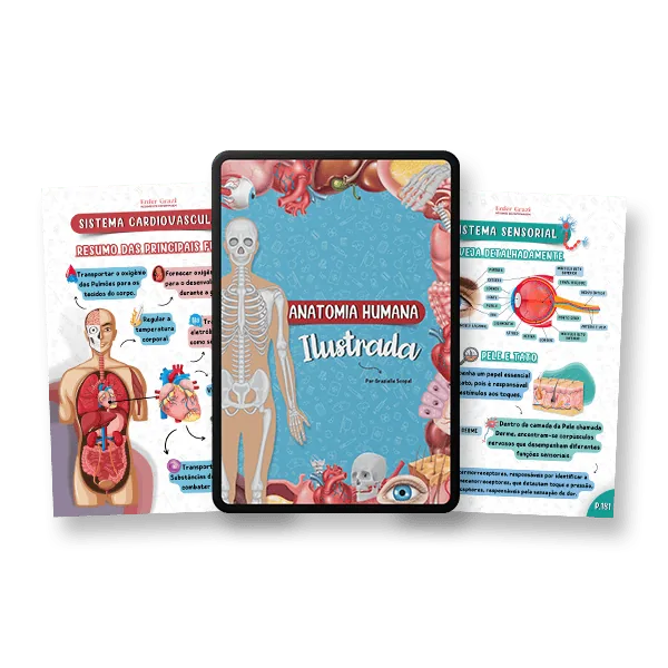 Anatomia Humana Ilustrada, tablet + páginas