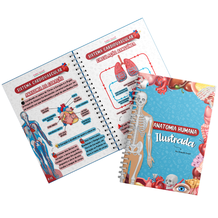 Anatomia Humana Ilustrada, livro físico aberto