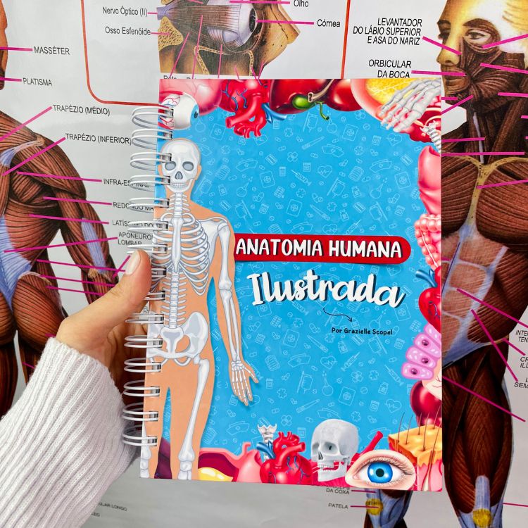 Anatomia Humana Ilustrada
