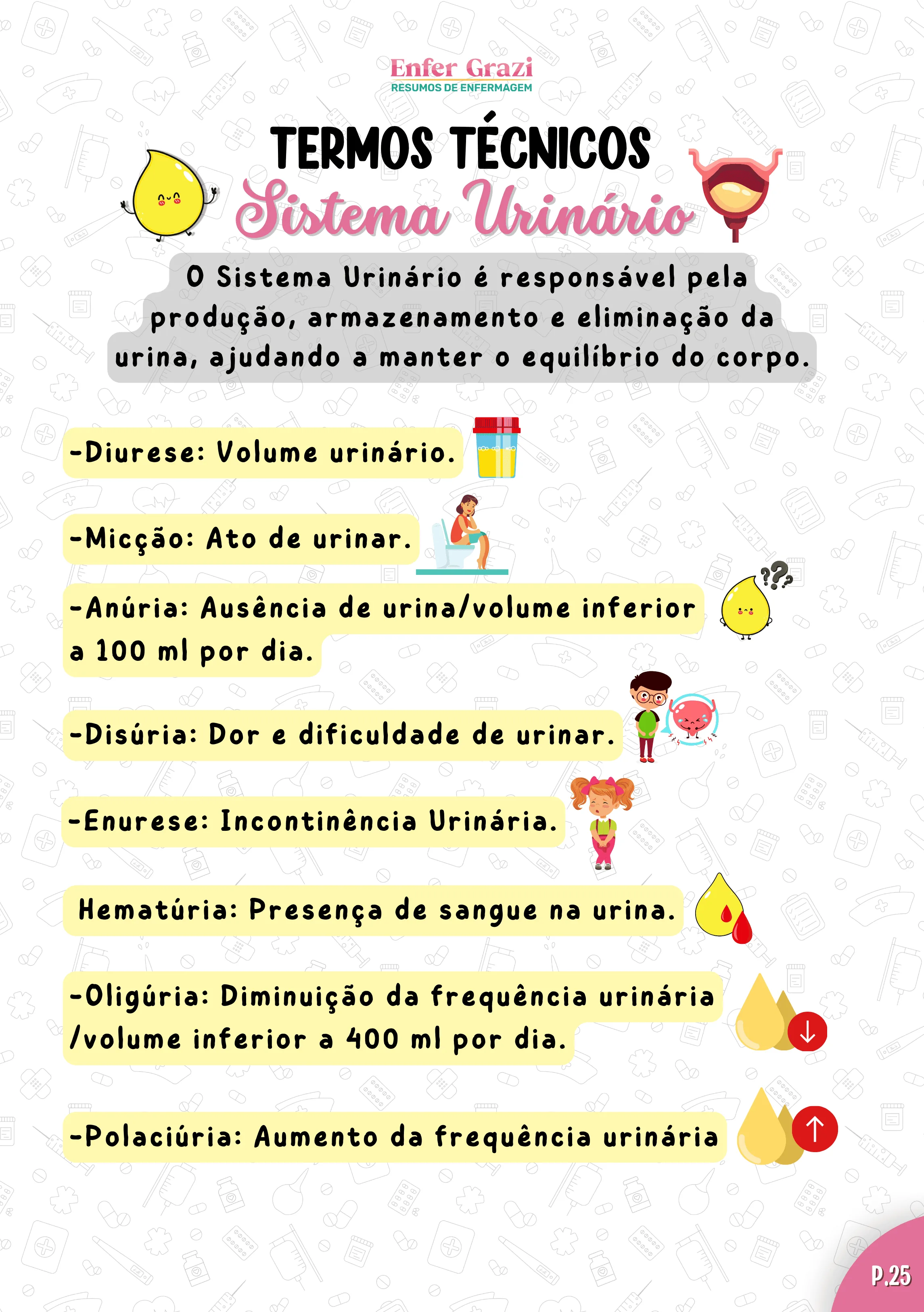 Página Sistema Urinário