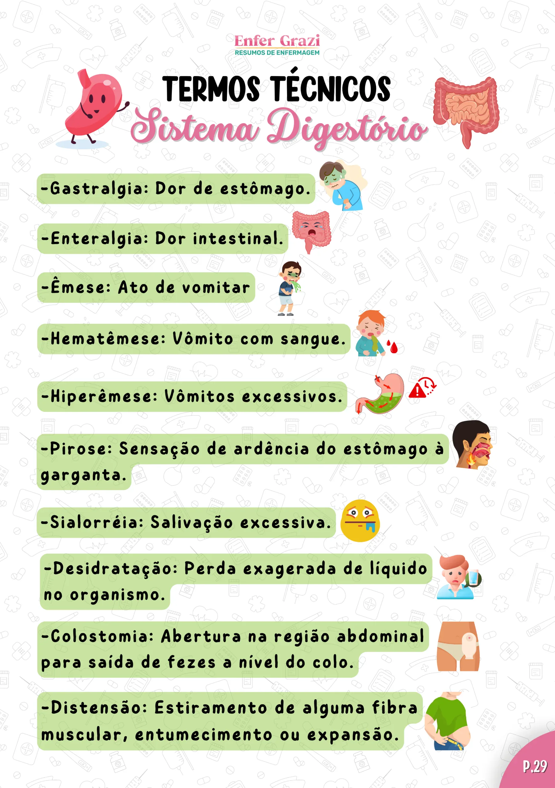 Página Sistema Digestório