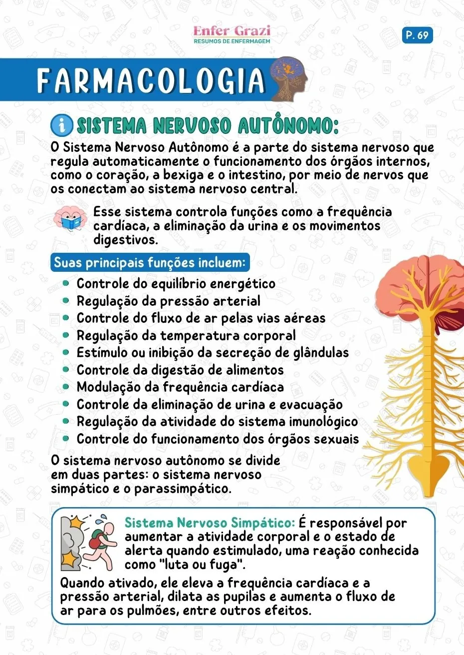 Página Sistema Cardiovascular