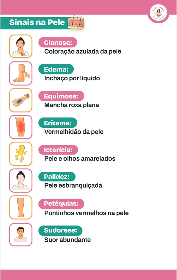 Exemplo de card de termos